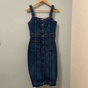 Zara Denim Button Dress